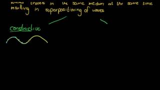 Celebrity Wave Interference Net Worth