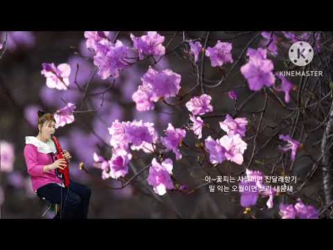 장선희색소폰~산너머남촌에는(<strong>박재란</strong>)