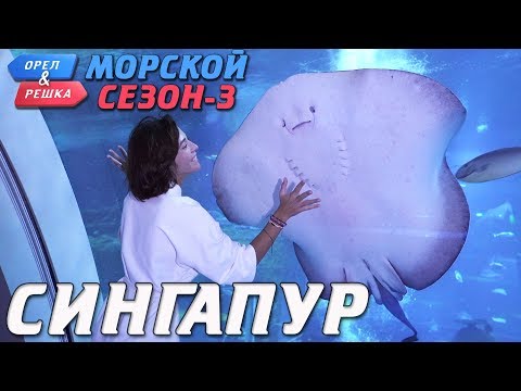 Видео: 9-те най-добри хотела в Сингапур за 2022 г