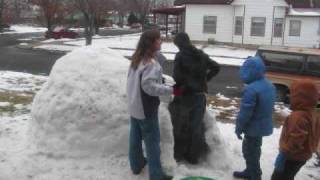 Igloo0002.Wmv