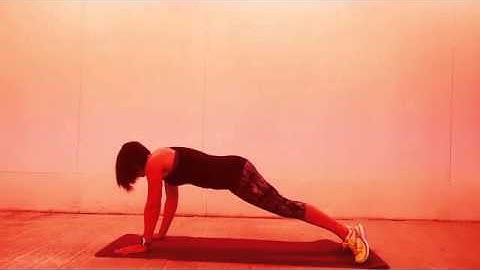 High Plank Rotations