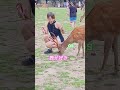 興味のある外国人日本の鹿が好き 🫎💋💃