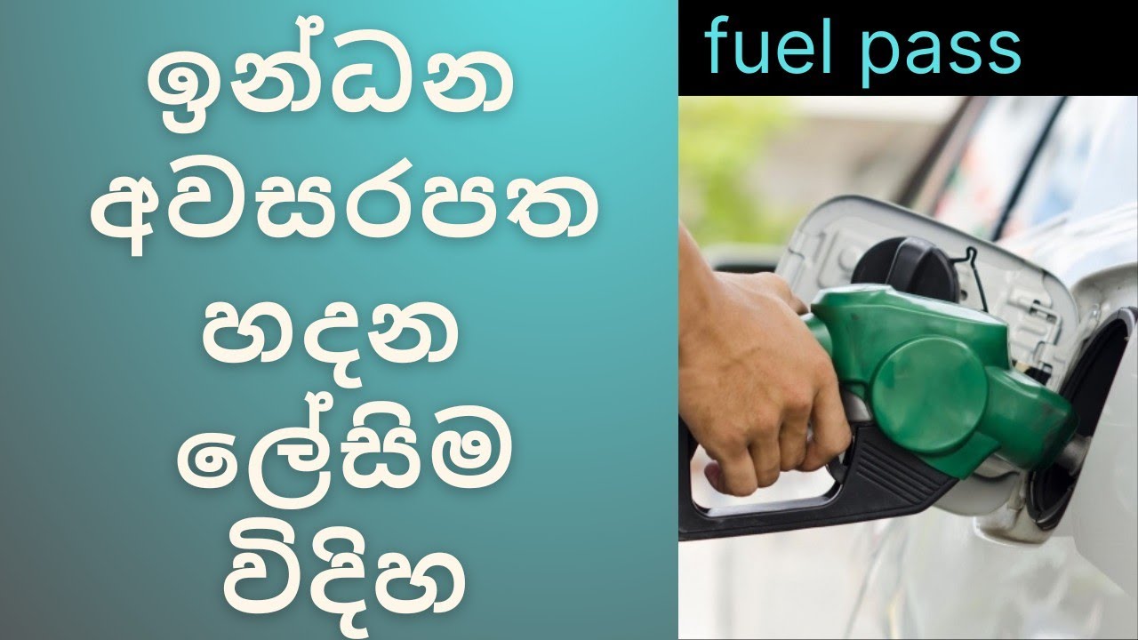 Fuel pass Sri Lanka Fuel gov.lk login Fuel pass registration YouTube