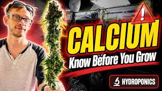 What Literally NOBODY Tells You About Calcium Will Blow Your MIND!