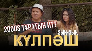 2000$ тұратын ит? | Зың-зың Күлпәш | Зын Зын Кулпаш | 3-маусым