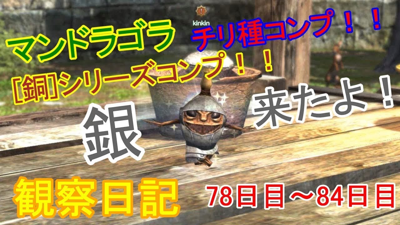 【DDON】マンドラゴラ観察日記+チリ種、銅コンプ！！【ガーデニング】78日～84日目 - YouTube