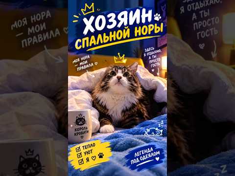 Теперь это его диван