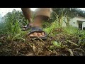 Training Drone Hubsan H122D #3