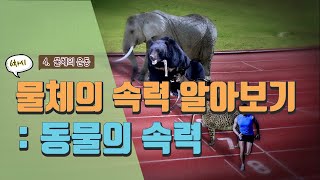 [초등 과학 5-2] 4. 물체의 운동 - 6차시 물체의 속력은 어떻게 나타낼까요? : 동물의 속력