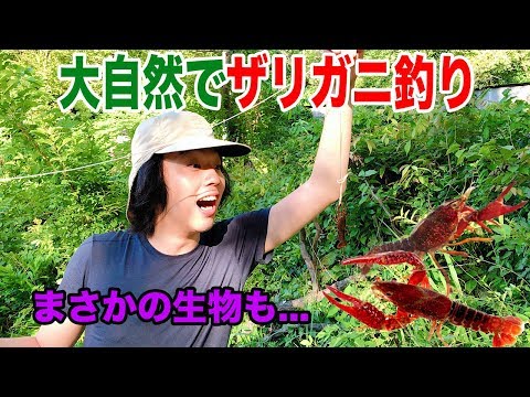 長野の大自然でザリガニ釣り 持ち物はバケツ タコ糸 エサだけ あとは全部現地調達 Youtube
