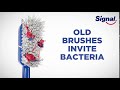 Old toothbrushes invite millions of bacteria. It’s Time To Change Your Brush