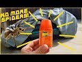 How to Get Rid of Bugs in Your Car!  [] Easy and Cheap []
