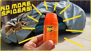 How to Get Rid of Bugs in Your Car!  [] Easy and Cheap []