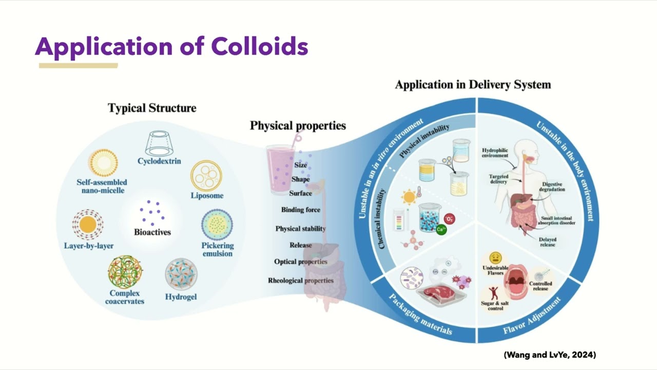 Visualizing Concentration Dynamics in Two-Body and Multi-Body Diffusive Systems