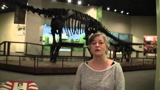 The Docent Experience at The Museum of Texas Tech University