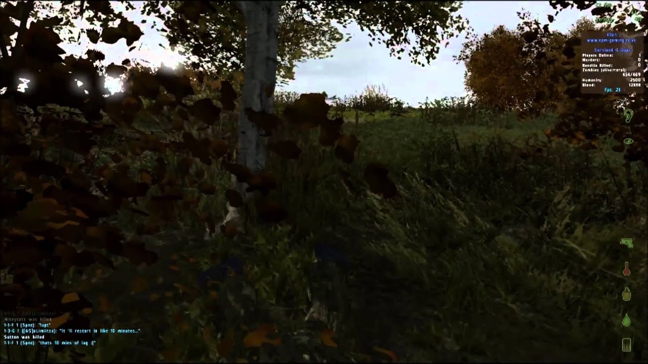 Gameplay DayZ  - Sniping in Stary - BioSquirrel [Full-HD]