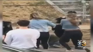 Chester Police Investigating Video Of Officer Striking Woman In Face During Arrest