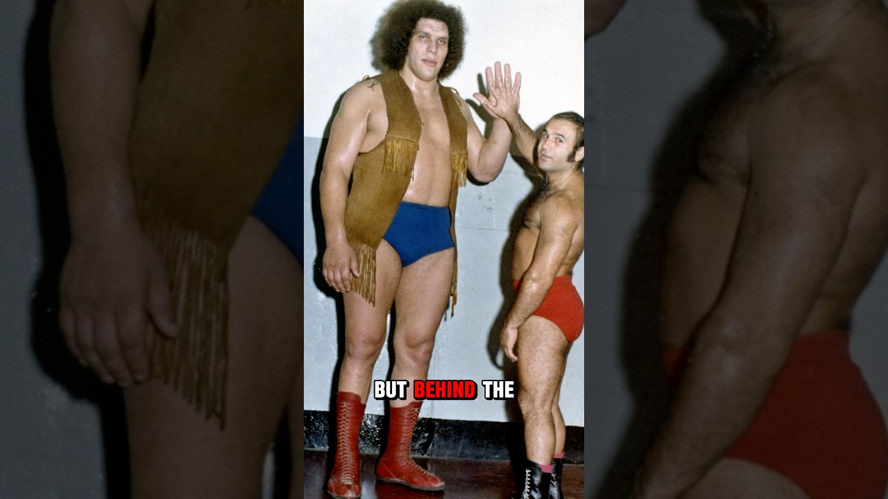 Life Being Andre The Giant 