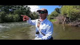Single Stonefly Setup // ESN Quick Tip