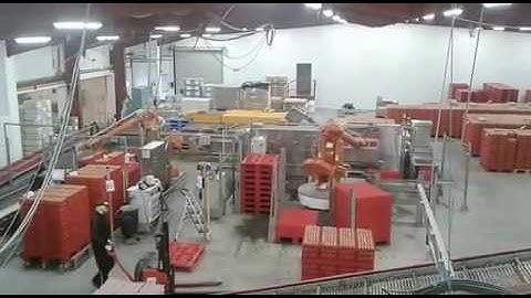 RTS Techniek automatisering eierpakstation Schotland