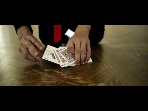 SHINANIGENS (Back in Stock!)