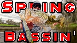 Buyer's Guide: Ned Rig Baits And Tips For Year Round Success! — Tactical  Bassin' - Bass Fishing Blog, ned rig soft plastics 