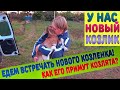 К нам приехал новый козлик! Как его примут наши козлята?