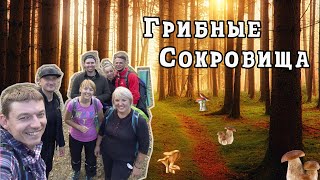 Волшебный Лес в Левковке. В Поисках Грибных Сокровищ