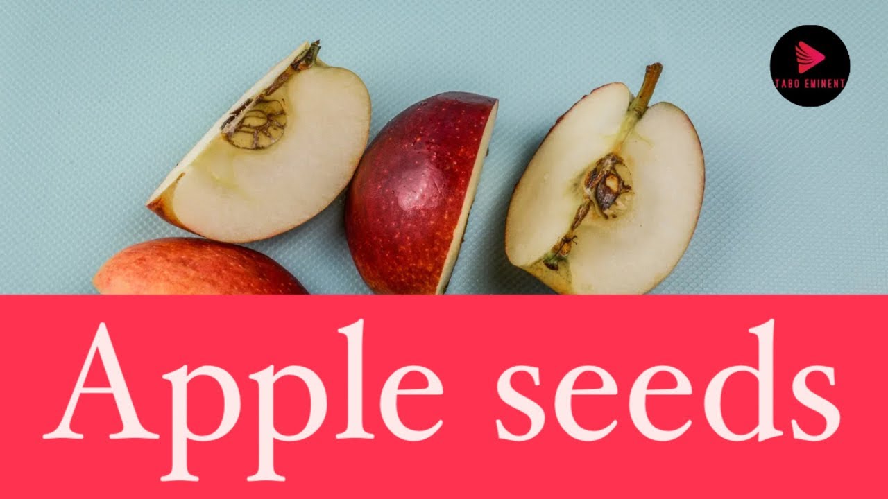 Can Apple Seeds Kill You?