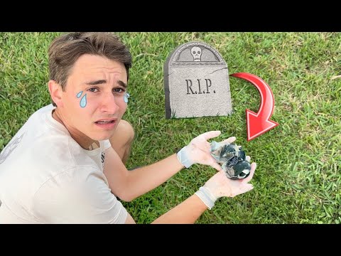 The Cosmic Egg: Cracking Open the Mystery of Creation