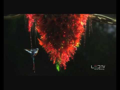 SAMSUNG LED TV30 2009 