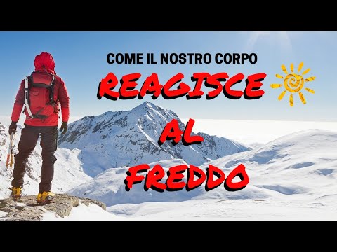 Video: Il Nostro Corpo Accumula Freddo: Come Succede - Visualizzazione Alternativa