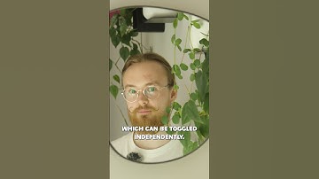 What does the FOG say?🌫️ - Harpagun | Devlog #9