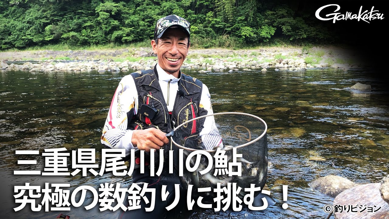 三重県尾川川の鮎 究極の数釣りに挑む！【G WORLD #21】