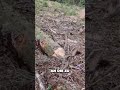 Kleine aber mächtige Seilwinde ihr werdet es nicht glauben #bastelkiste #spillwinch #spillwinde