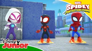 Team Spidey Sitter Fast Spidey Og Hans Fantastiske Venner Disney Junior Norge