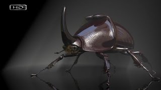 Титаны в мире насекомых где размер играет важную роль для будущих партнерш - Жук-носорог