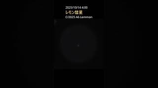 長い尾を引くレモン彗星(C/2025 A6 Lemmon)を観察(2025年10月14日 4時) #shorts #astronomicalobservations #c2025a6 #レモン彗星