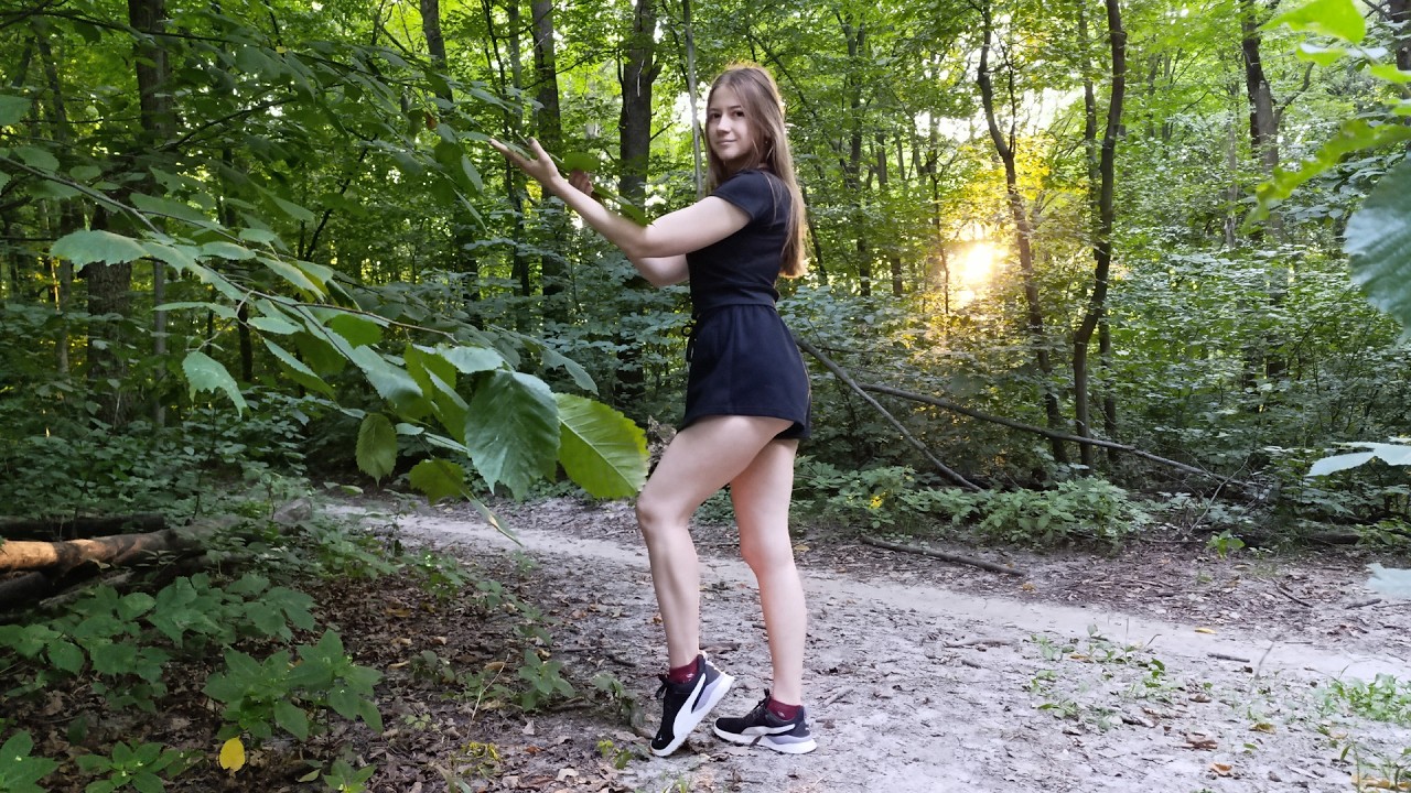 Evening Forest Walk Through Peaceful Nature | ASMR Relaxing Birdsong & Nature Sounds