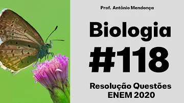 O que são os aracnídeos?