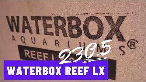 Waterbox Reef LX 230.5 First Look