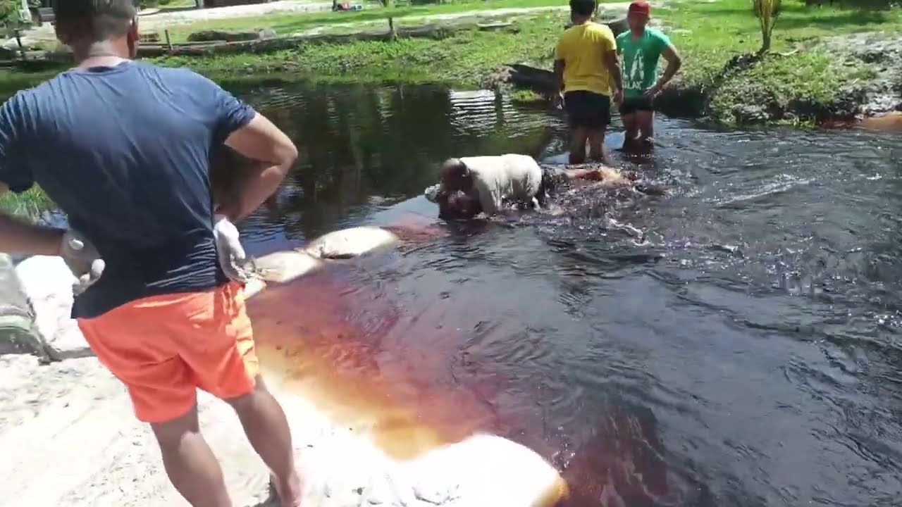 PRIVATE SWIMMING and CAMPING PLACE @t CABENDA SURINAME