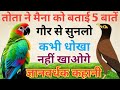      5         parrot of maina bird story