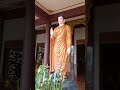 Nam Mô A Di Đà Phật #suhuong