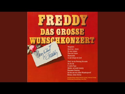 Freddy Quinn — Goodbye Johnny