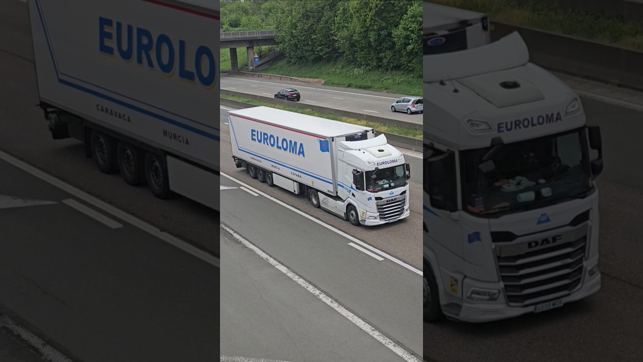 DAF truck from Spain!🇪🇸 