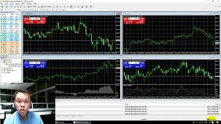 How to install Metatrader4 and customized indicators How to install Metatrader4 and customized indicators