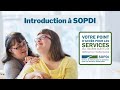 Introduction  sopdi