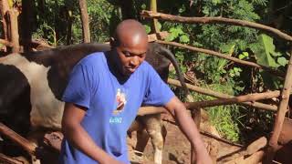 Muciai By Tonny Githae