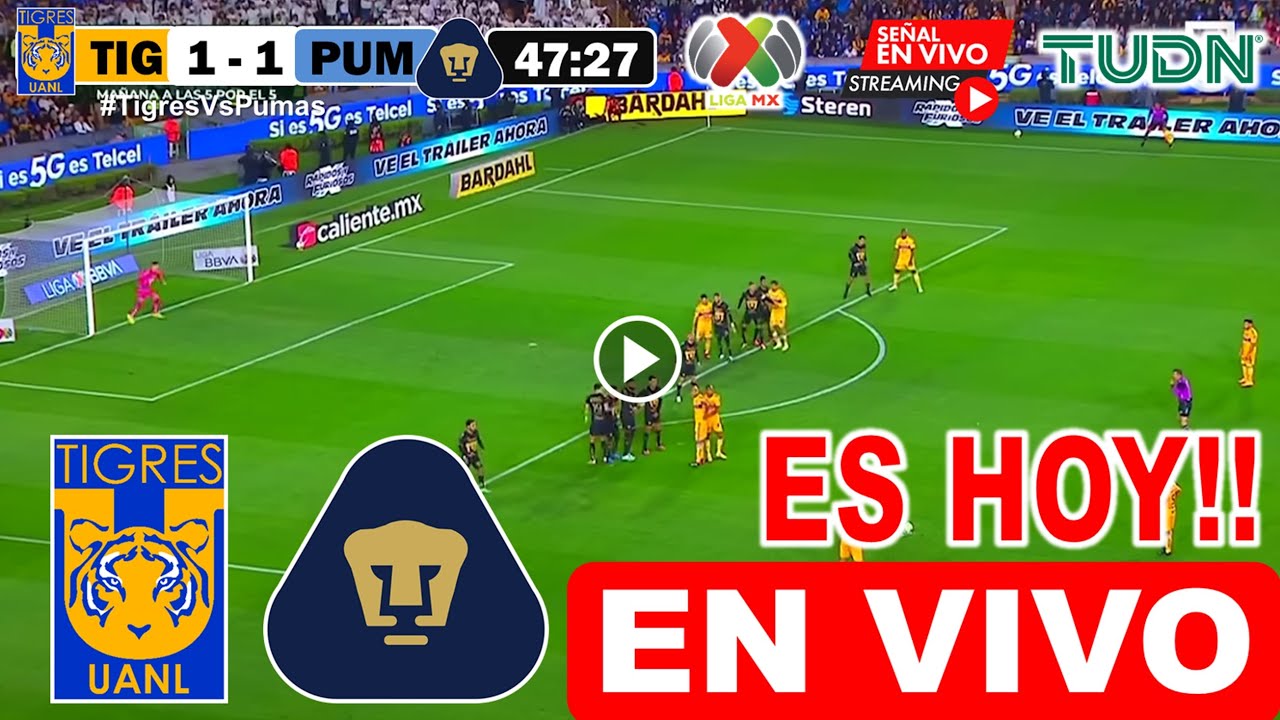 Pumas vs Tigres EN VIVO 🔴 SEMIFINAL | Ver Pumas vs Tigres donde ver y a ...